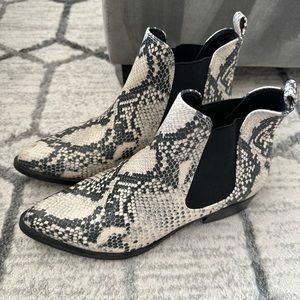 Steve Madden snakeskin booties